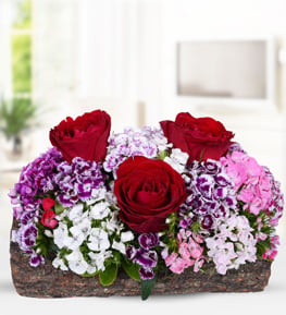 Sevginin Sembol� H�sn�yusuf ve K�rm�z� G�l