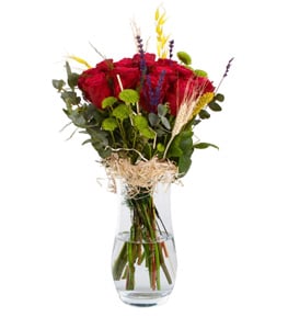 Four Seasons K�rm�z� G�ller
