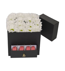 Elegant Touch Papatya ve Macaron