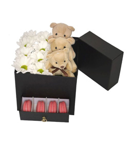 Happy Dreams Papatya Ay�c�k Macaron