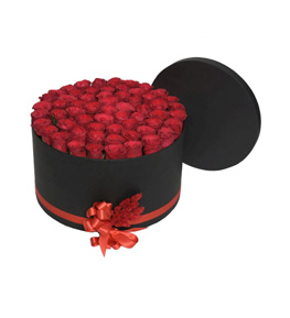 Crimson Dream Kutuda G�ller