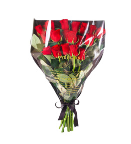 Red Elegance K�rm�z� G�ller
